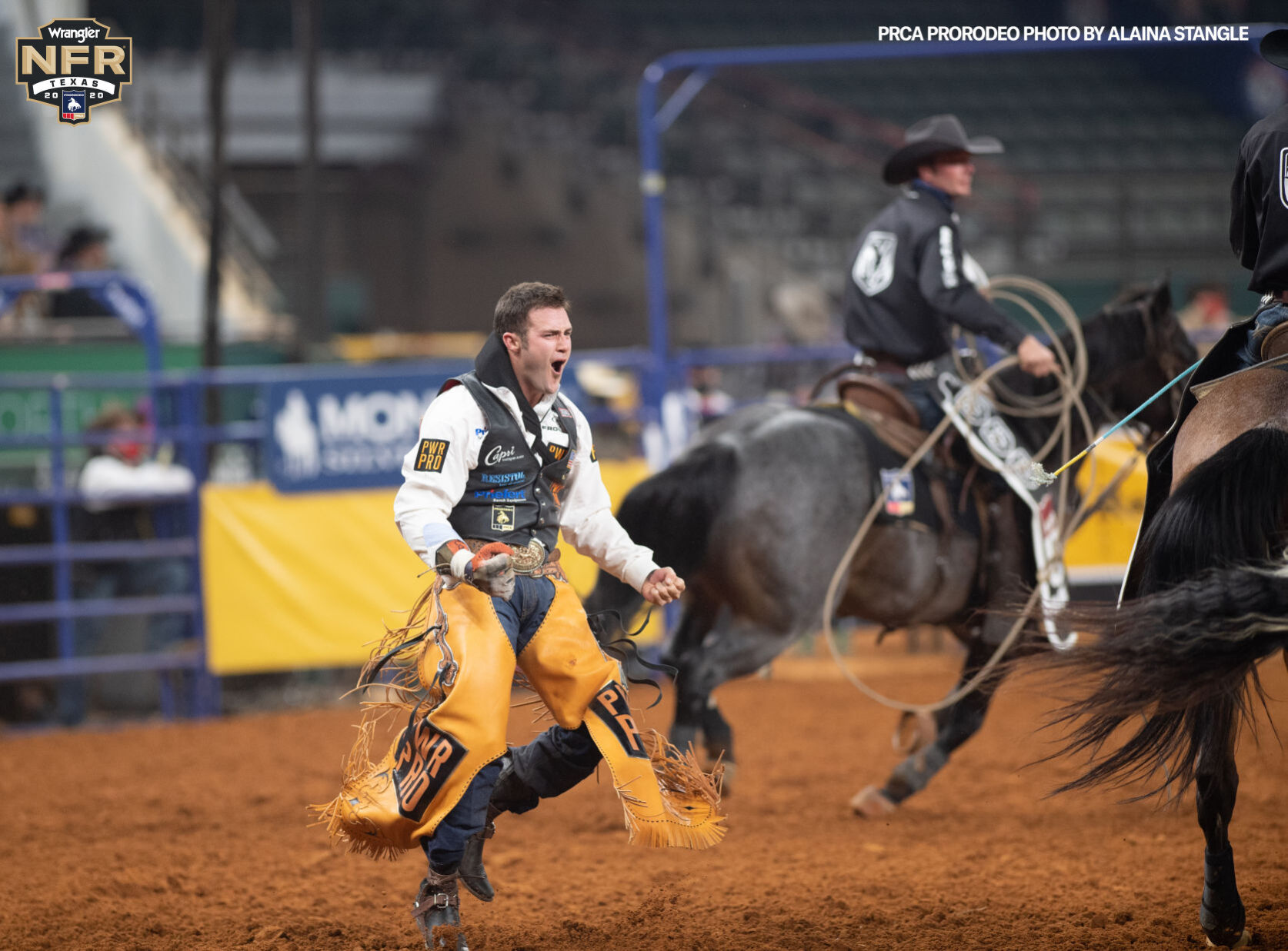 Kaycee Feild